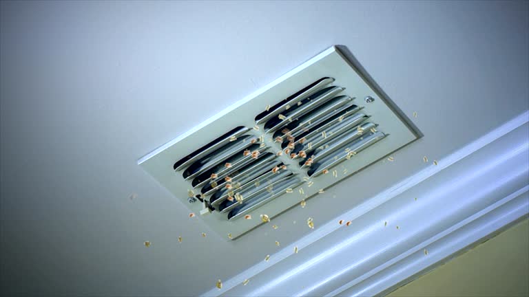 Best Professional Duct Cleaning Services  in Myrtle Grove, FL